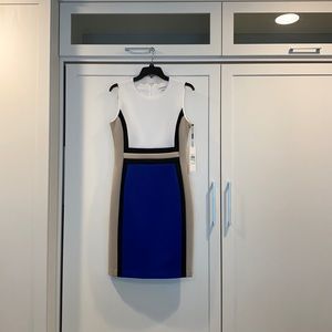 NWT Calvin Klein (Sz 8) Dress